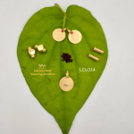 One Gram Gold Forming  Pottu Thali, Lakshmi Coin, Kolachi , Gundu